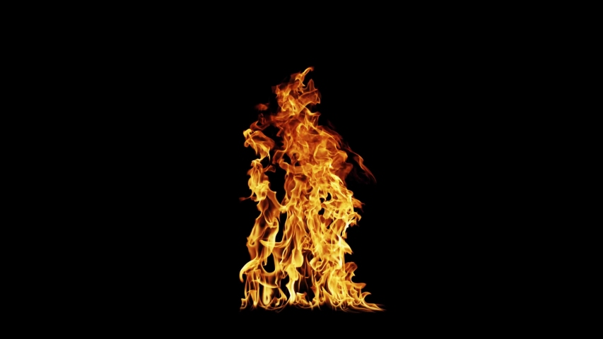 Fire Flames Igniting And Burning - Slow Motion. A line of real flames ignite on a black background. Real fire. Transparent background. PNG + Alpha. 