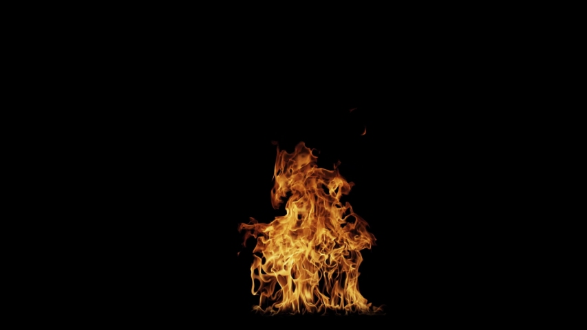 ashampoo burning studio 7 download