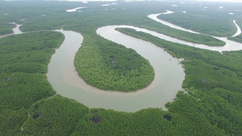 S shaped Mangrove forest aerial in South of Vietnam aerial shot