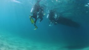 Scuba divers swimming to a boat to climb a ladder