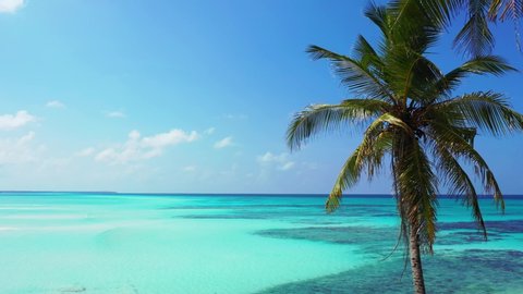 Tropical Beach Background Loop Stock Footage Video 100 Royalty Free 1010004164 Shutterstock