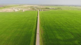 Country road. Green field. Aerial