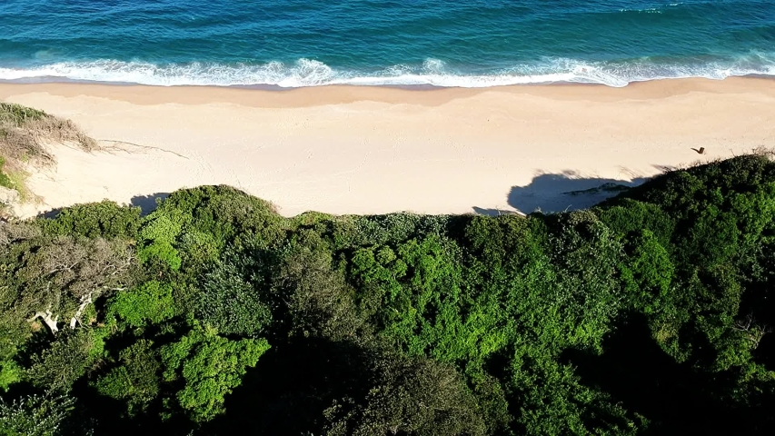 View from above of a tilting drone overlooking the seashore and brushes bushes tilting up towards the horizon with clear watery seas in Durban south Africa Royalty-Free Stock Footage #1032397724