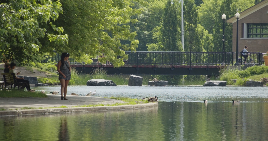Footage of park with lake and bridge