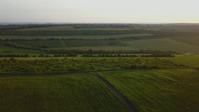 Slow Aerial shot flying over a green field during sunset