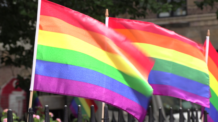 Lgbt Flags Waving Gay Pride Stock Footage Video (100% Royalty-free ...