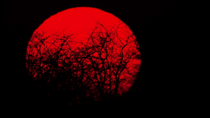 huge setting sun in the evening
