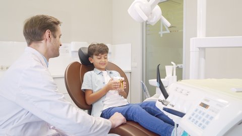 Male dentist educating little boy about dental hygiene
