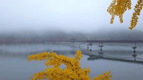 Aerial video of Wolyeonggyo bridge with cloud in the morning located in the midst of Nakdong river, Andong, South Korea.