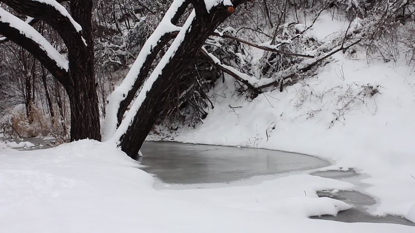 Frozen creek near trees covered in snow