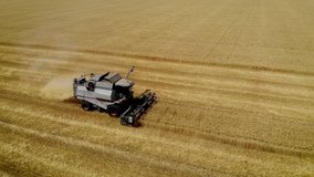 Aerial view harvester mows wheat or barley cutting off spikelets with scissors agricultural equipment and combines in concept of food industry field. Drone shoots video of reap grain crops