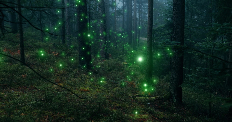 Magical Green Glowy Flying Fireflies Stock Footage Video (100% Royalty ...