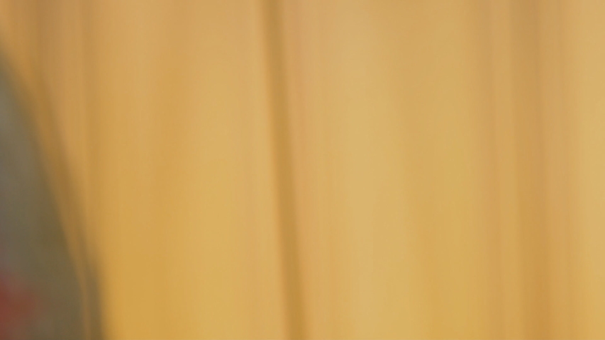 parrot head from very close range