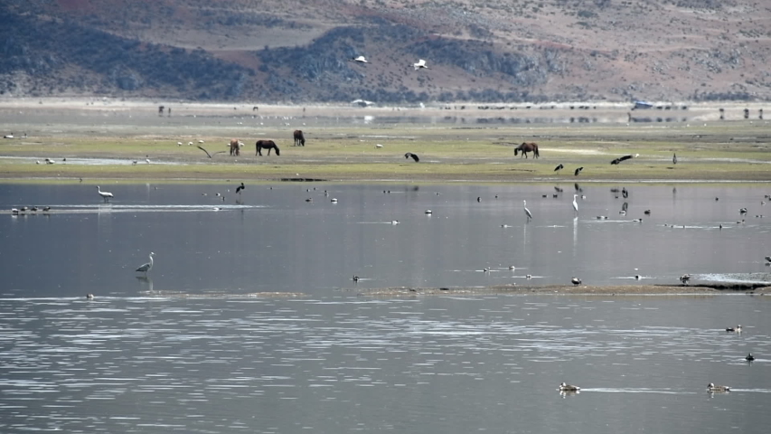 Scenery landscape background photo of the Yunnan area with birds life and lake and mountain viewing at China