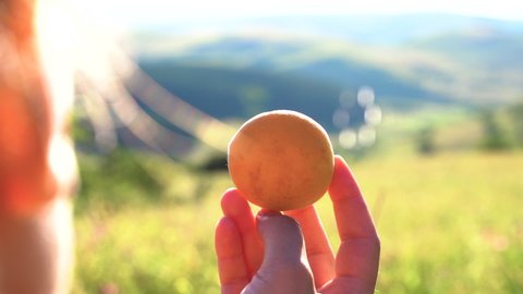 A woman holding a apricot in the sunlight