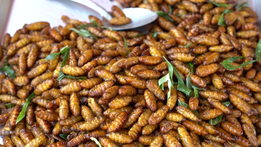 Exotic Snack of Scorpions, Worms and Insects Food & Drink Videos ...