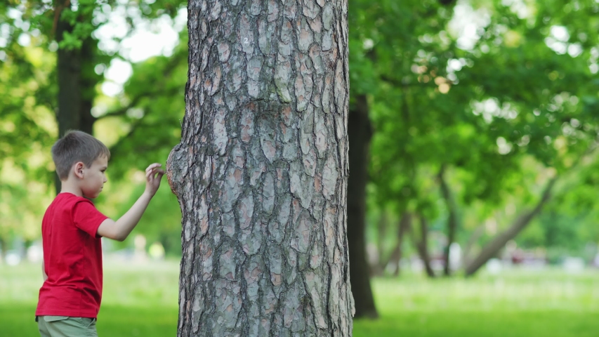 Прятки парк томск