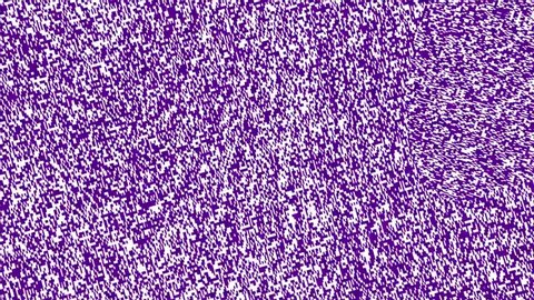 Television Rgb Color Static Noise Tv Stock Footage Video (100% Royalty ...