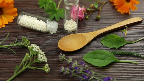 Homeopathic Medicine pills in jars and on wood spoon, decorated with fresh various herbs and plants on brown wooden background. Homeopathy concept, lot of room for text.