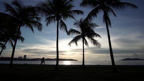 Silhouette of man, coconut tree and street light during sunset. Jogging track at Tanjung Lipat, Kota Kinabalu Sabah. Video 4K. 