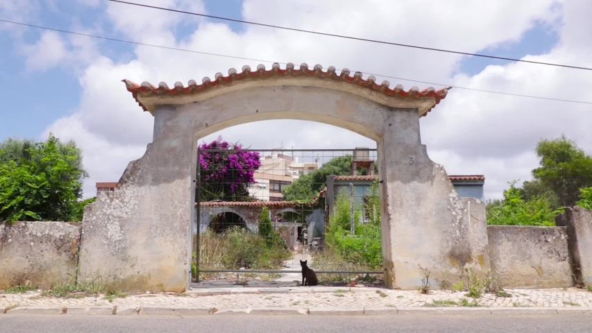 Old House Gate - Cat Sitting