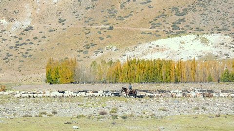 
Gaucho shepherd near mountains in Mendoza Argentina