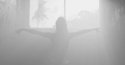 Silhouette of beautiful sensual woman in body suit dancing in hazy studio over window view with palm trees background - black and white video in slow motion