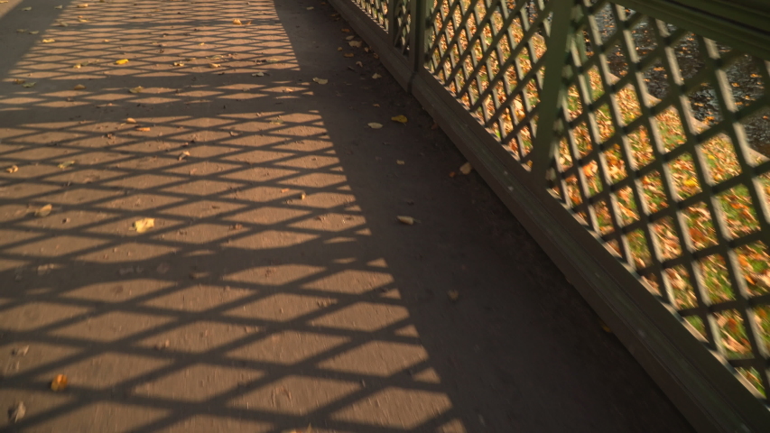 The grille of the Summer garden. Saint-Petersburg.