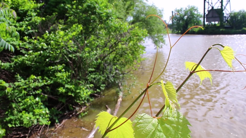 The bulkheads of the Cuyahoga River in Cleveland Ohio once burned 50 years ago. Now revitalized and full of boaters and recreation.