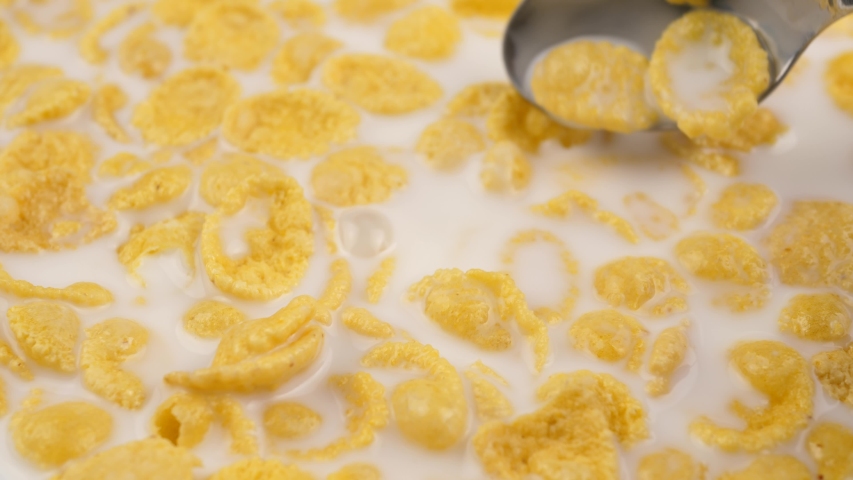 spoon of cereal with milk