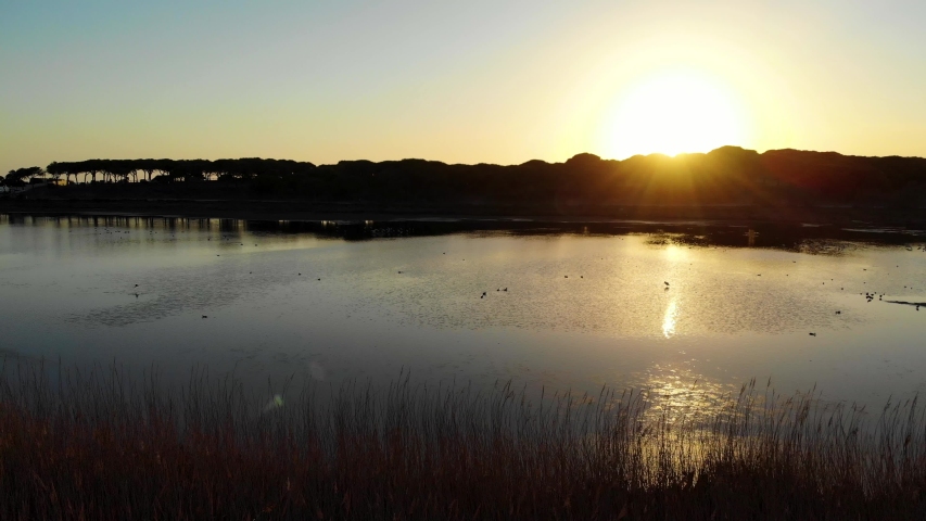 Sunset on a Lake Behind Pine Trees 3