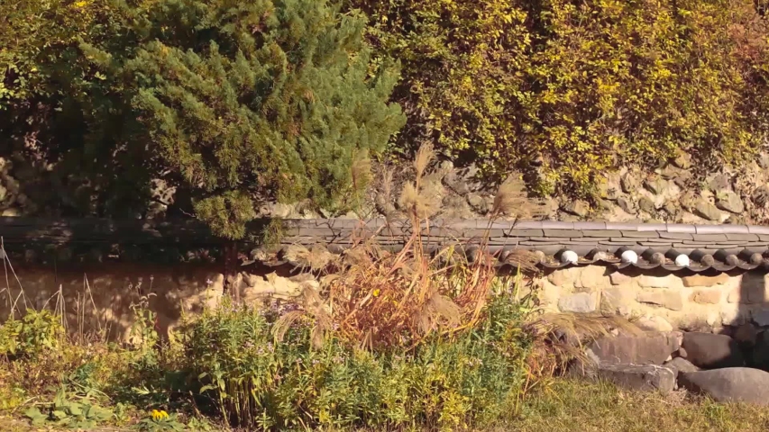 Golden forest trees and brick wall