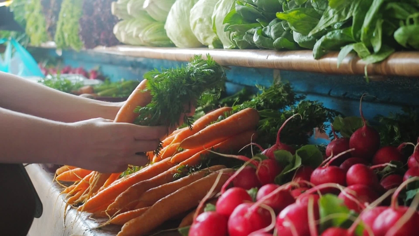 Fresh organic vegetables and herbs at the farmers market. Colorful raw vegetables and herbs on sale at the local farmer's market. Earth concept, fresh harvest Royalty-Free Stock Footage #1032789065