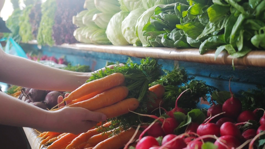 Fresh organic vegetables and herbs at the farmers market. Colorful raw vegetables and herbs on sale at the local farmer's market. Earth concept, fresh harvest Royalty-Free Stock Footage #1032789065