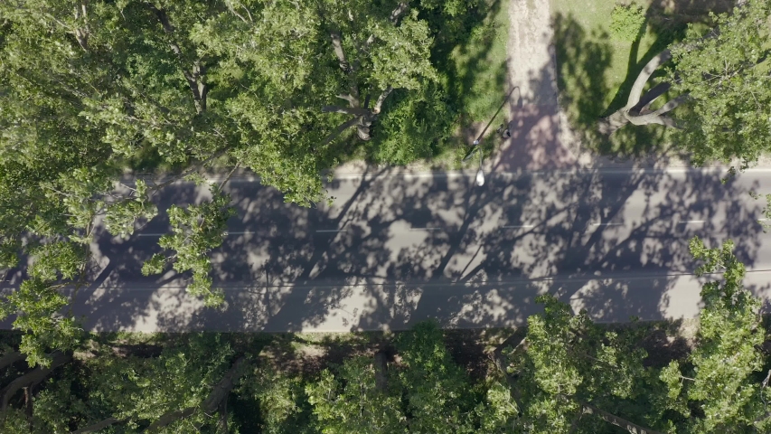 Aerial view of the highway with trees.
The route passes through the countryside in the length of fields and forests. Polish landscape. Drone Shot 4K.