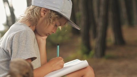 Child makes sketches in notebook on wood background. Boy drawing in forest camp in summer vacation. Outdoors childhood. Imagination, inspiration concept. Fresh air mood, beauty of nature. Open space Video Stok