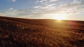 Wiltshire Sunset Landscape video perfect for backgrounds and travel videos. 