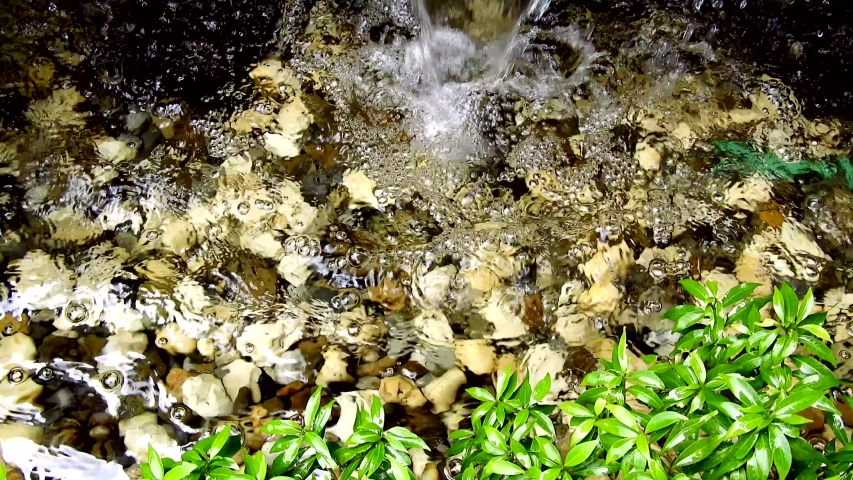 Close up water fountain in garden.water falling into pond in garden,top view pond and leaves in garden with water falling