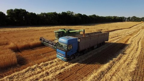 Ukraine, Kharkiv region
July 5, 2019. Harvesting wheat. Photo from the drone, a special combine in the field.4k