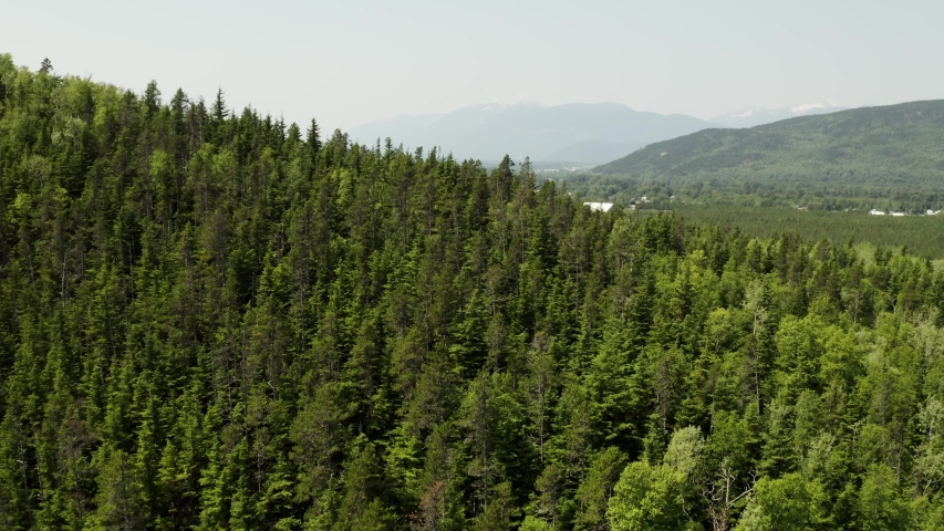 An aerial, cinematic, moving reveal of the outskirts of the town shot in Terrace, B.C. Canada during the summer months on a sunny day.