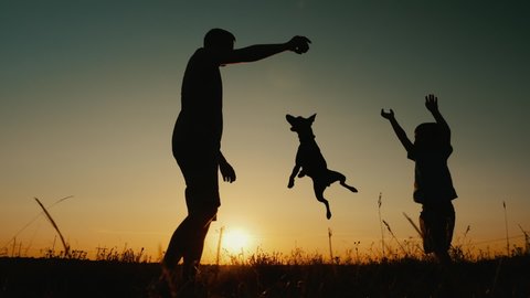 Silhouettes, video in slow motion: Father with his little son are playing with a dog at sunset. The dog jumps up in hopes of catching a favorite ball