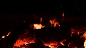 Nice bonfire wood fire nature close up 4k video