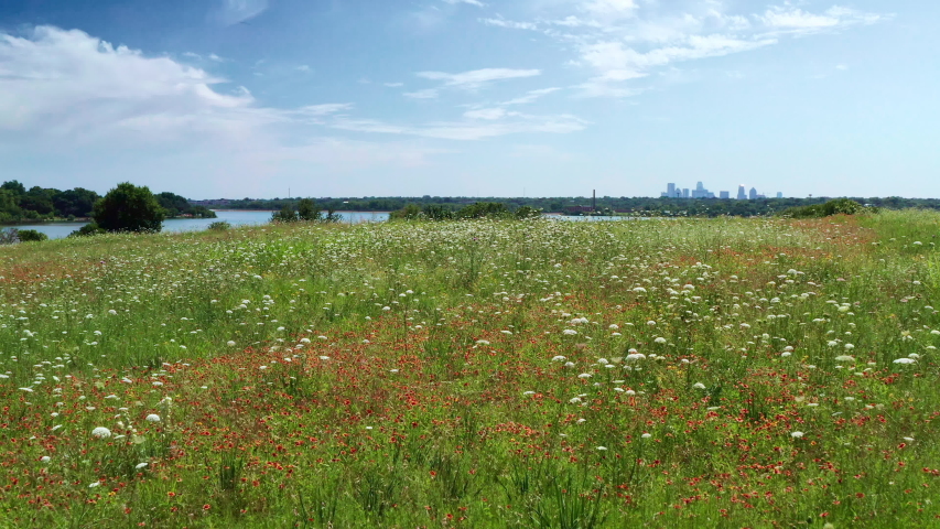 A dramatic aerial shot starts in a field of flowers and then ascends to reveal White Rock Lake in Dallas, Texas. People jogging and cycling can be seen as well as the Dallas skyline on the horizon.