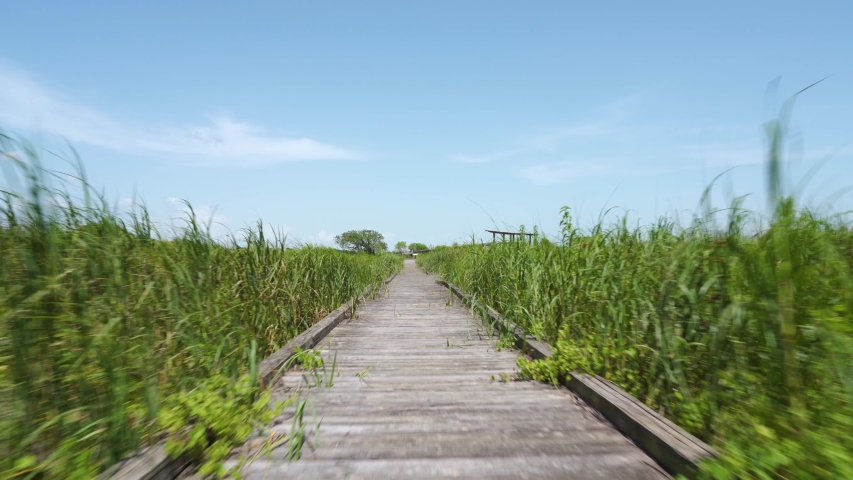 San Jacinto Battleground Grassy Walking Path Houston, Texas