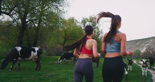 Two friends ladies in the middle of countryside landscape have a workout together running beside a group of cows taking video from the back
