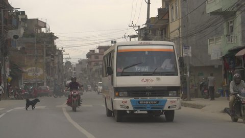 KATHMANDU, NEPAL - SEPTEMBER 2018: SLOW MOTION, CLOSE UP: Black stray dog crosses the busy asphalt road in downtown Kathmandu. Countless cars and motorbikes polluting the air in a third world city.