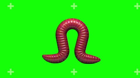 Red worm crawling on green screen with motion tracking markers on background. Seamless loop 3D animation.