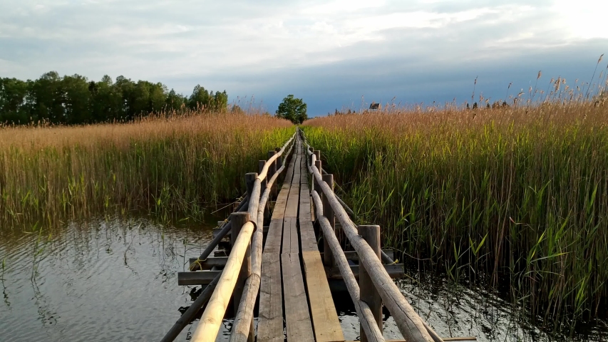 Wooden walkway, in a bog, Lake Ka?ieris in ?emeri National Park
