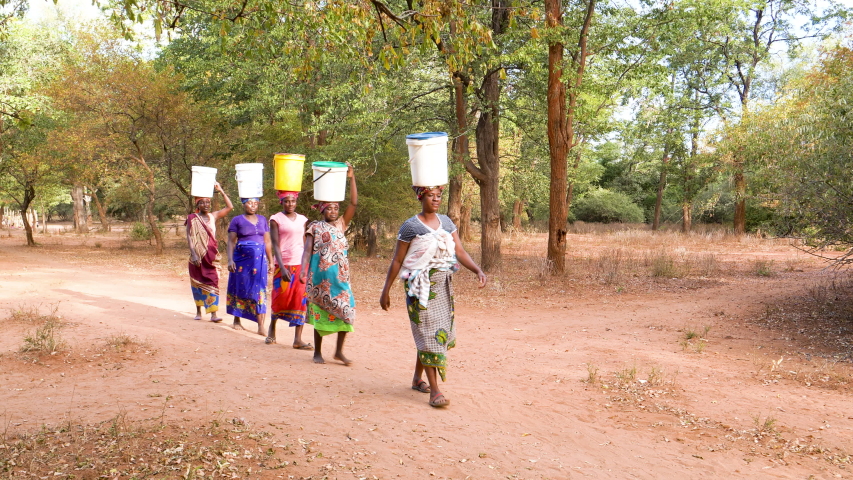 Water journey. Five woman and a baby make the long journey home carry water in plastic containers on their heads after pumping it from a communal water pump, Zimbabwe