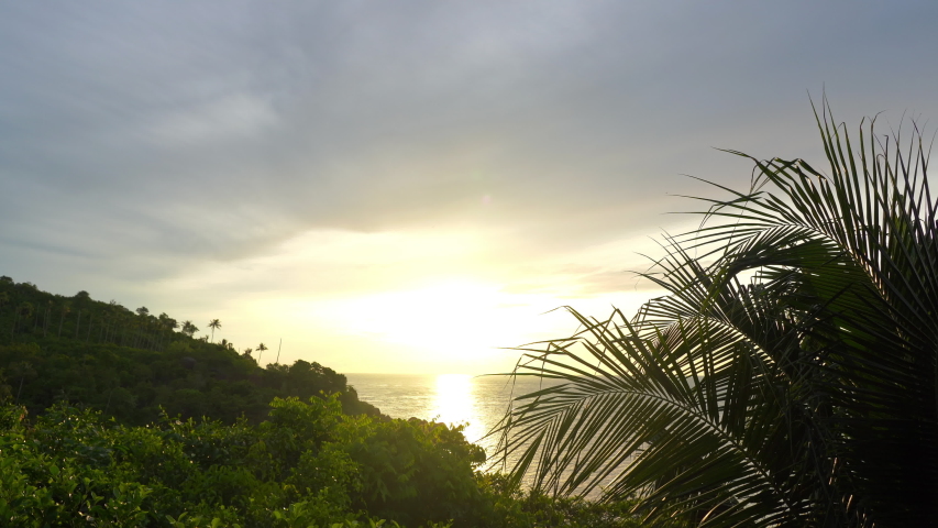 Landscape view of the ocean during the golden hour through some palm tree.